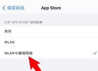 ios下载不了软件怎么回事儿,ios下载不了软件怎么回事儿苹果