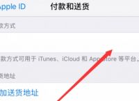 苹果手机下载软件出现付款方式,苹果手机下载软件出现付款方式无效