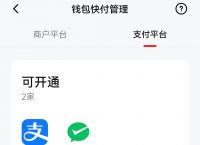 数字人民币钱包app下载,数字人民币钱包app下载官网