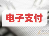 电子货币有哪些风险,电子货币涉及哪些问题?请以论述+举例得方式回答