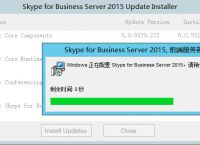 关于skypebusinessapp的信息