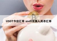 usdt换成人民币多少钱,usdt兑换人民币手续费怎么计算