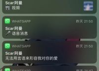 whatsapp怎么翻译成英文,whatsapp怎么直接在软件中译英