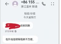 明明转账成功却一直没到账的下载术的简单介绍