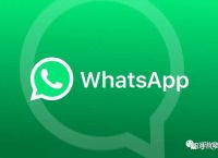 whatsapp中文叫什么下载境内有哪些社交软件可以用,whatsapp中文叫什么下载境内有哪些社交软件可以用的