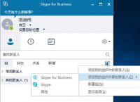 为什么skypeforbusiness登录不了的简单介绍