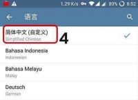 [telegreat怎么改语言]telegreat中文版怎么设置