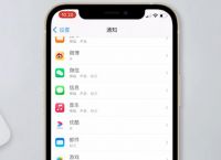 苹果安装软件怎么取消按两下,iphone怎么取消按两下安装