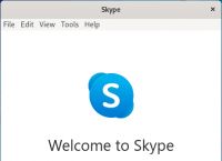 skype是啥?,skype是啥意思