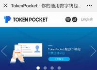 token钱包app教程,token packet钱包