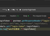 tokenlogin,TokenLoginFilter