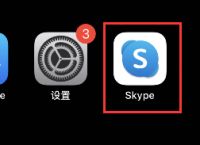 skype手机端,skype手机端怎么充值