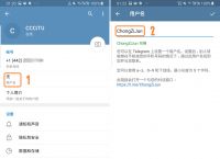 [telegram搜不到东西]telegram搜索不到zh_cn