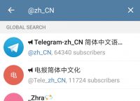 [telegaem中文包]telegreat简体中文语言包