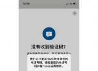 whatsapp收不到短信验证码,WhatsApp收不到短信验证码怎么办?