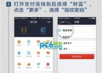 tp钱包官网下载,tiktok官网下载入口