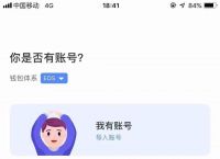 tokenpacket钱包苹果怎么没在了的简单介绍