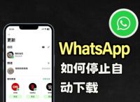 whatsapp官方网下载最新版本,whatsapp官网下载安装最新版本