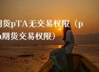 pta交易权限怎么开通,pta交易需要10万资金吗