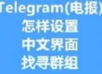 telegeram汉化版,telegeram汉化版下载