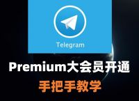 关于纸飞机telegeram英文改中文的信息