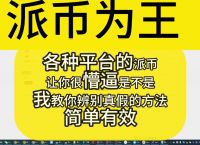 2024年派币最新消息今天,2024年派币最新消息今天价格