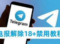 telegram中国禁用了吗,telegram会被网警检测到吗