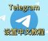 telegreat中文版设置的简单介绍