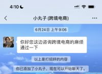 skype官网下载苹果手机,skype官方下载苹果手机版本