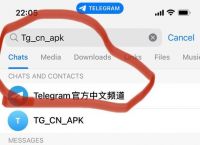 关于Telegram安卓中文版的信息