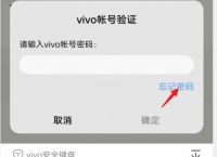 收不到验证码怎么办vivo,收不到验证码怎么办vivox20