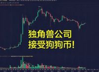 狗狗币钱包有中文版吗,狗狗币钱包app是真的吗