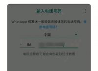 手机下载whatsapp不能用,为什么下载whatsapp不能用