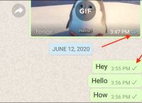 whatsapp电脑版怎么视频聊天,whatsapp电脑版可以视频聊天吗