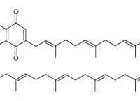 关于plastoquinone的信息