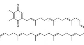 关于plastoquinone的信息