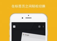 google下载,google下载的文件保存在哪