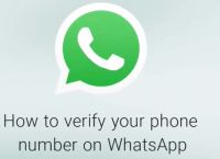 whatsapp中文叫什么,whats app 官网下载