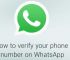 whatsapp中文叫什么,whats app 官网下载