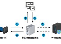 国外服务器代理ip,国外服务器代理ip免费