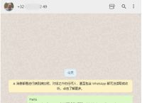 whatsapp如何读,whatsapp messenger怎么读