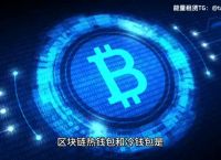 trx钱包官网下载,trx钱包app官网下载