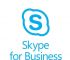 skypeforbusiness2016下载,skypeforbusiness是什么软件怎么卸载