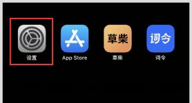 skypeapple下载,skypeapk官方下载