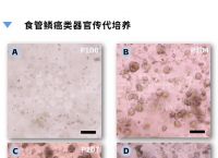 瑞钱包安卓版下载,瑞钱包v5下载官网