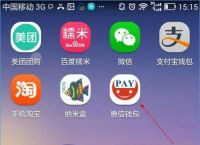 [cgpay钱包app下载]cgpay钱包app下载下载