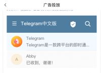 telegram隐私保护的简单介绍