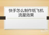 [纸飞机软件注册]纸飞机下载注册教程