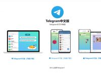 Telegram不用手机号怎么登陆的简单介绍