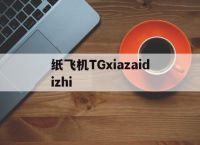 关于纸飞机TGxiazaidizhi的信息